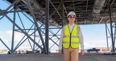 ETED estructura nueva fase para viabilizar inversión privada en almacenamiento energético y fortalecer la resiliencia del SENI ETED estructura nueva fase para viabilizar inversión privada en almacenamiento energético y fortalecer la resiliencia del SENI